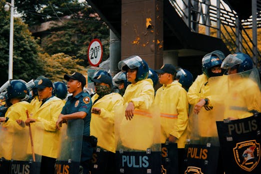 Jak feromony řídí sociální řád v kočičím světě?