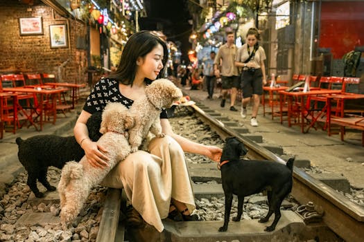 Jak Feromony Ulehčují Socializaci a Trénink Psů